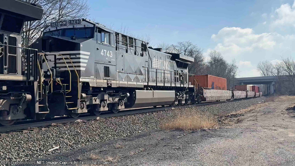 NS 4743 is new to rrpa.